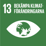 FN:s globala hållbarhetsmål 13